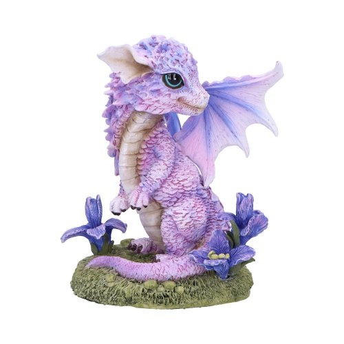Nemesis Now: Iris Flower Dragon (12cm)