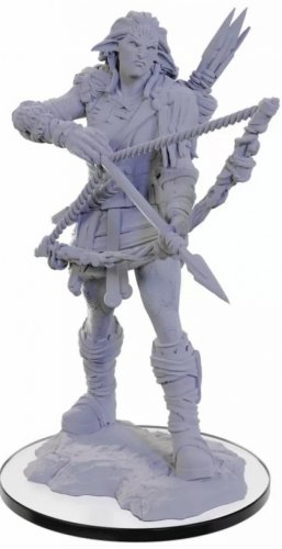 Pathfinder Deep Cuts Unpainted Miniatures: Wood Giant