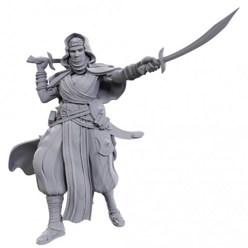 Pathfinder Deep Cuts Unpainted Miniatures: Desert Giant