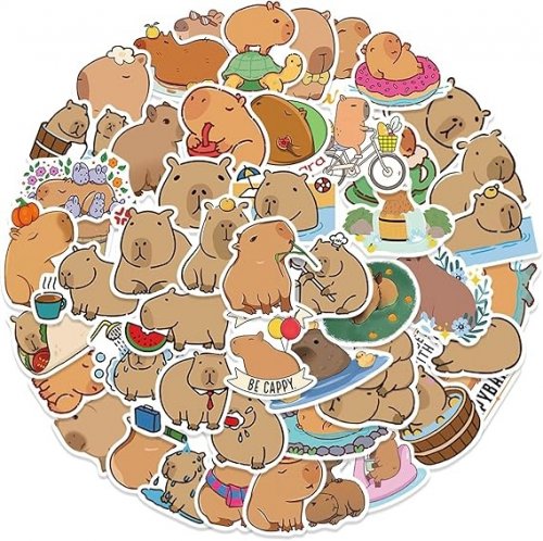 Tarra: Capybara 50kpl (Satunnainen)