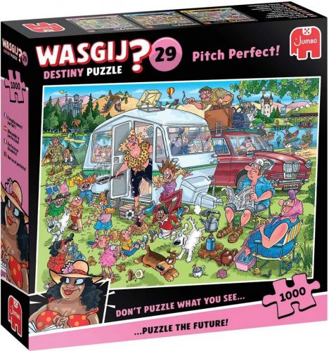 Palapeli: Wasgij Destiny 29 - Pitch Perfect! (1000)