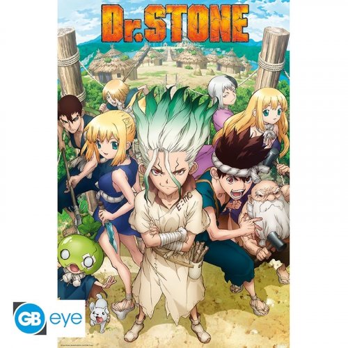 Juliste: Dr Stone - Groupe (91.5x61cm)