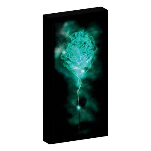 Taulu: Harry Potter - Canvas With Light