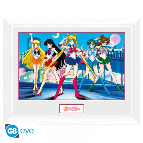 Taulu: Sailor Moon - Group (30x40) (white Frame)