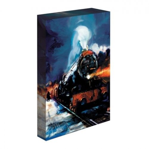 Taulu: Harry Potter- Light Up Canvas Hogwarts Express (30x40cm)