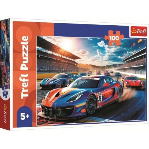 Palapeli: Fast Racer (100)