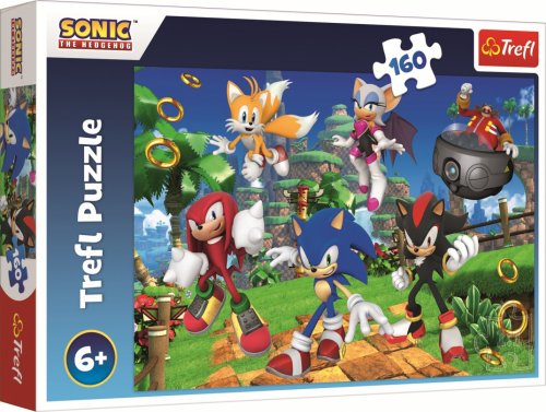 Palapeli: Sonic And Friends (160)